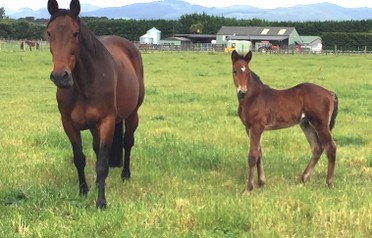 Cozette Bromac and  Cassius Bromac.jpg