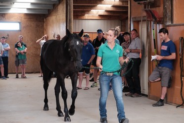 DSCF7117_img 62 w Chanelle fav.jpeg