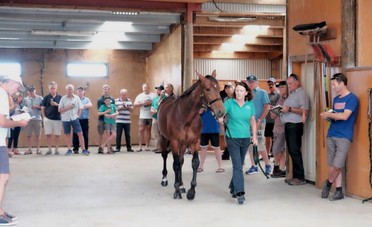 DSCF7136_img 69 Michelle leading.jpeg