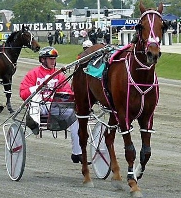 Dustin Bromac New Zealand Cup Day 2009 in his Chanelle Dickie’s famous pink regalia.jpg