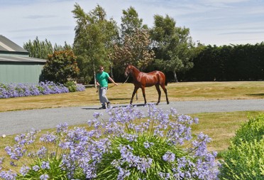 Hayden leading 2 cropped.jpg