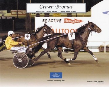 Crown Bromac (McArdle–Classic Blue Jeans) 1.54.1 Earned $158,550.jpg