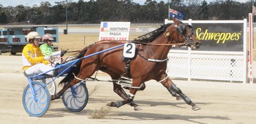 Juliette 20 Jan Kilmore.jpg