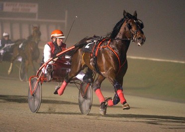 Shing Bromac Winning Breeders Crown Heat.jpg