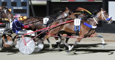 TANDIAS BROMAC 29 August Melton.jpg