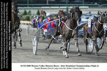 Tanabi Bromac winning the Victorian Derby 2008.jpg