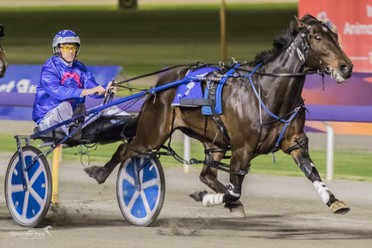 Tasman-Bromac Gloucester Park James Brennan Memorial Night 111117.jpg