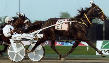 Ulrica Bromac Winning in 1.49.6, at the time New Zealand’s Fastest mare ever.jpg