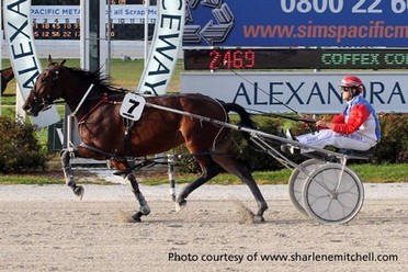 Zeta Bromac (1.55.6) shown winning at Alexandra Park.jpg