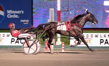 Attorney General (1.48.4) Record Fastest Ever Mile by New Zealand Pacer.jpg