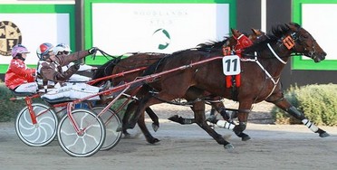 Carpenters Daughter winner of Breeders Crown .jpg