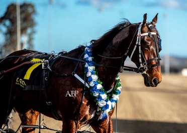 Cruz Bromac after Gr 1 Len Smith mile 1 July.jpg