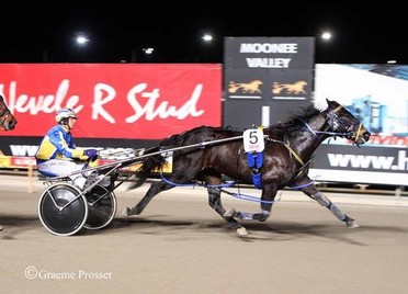 Gilt Bromac G1  winner of $199,000.jpg