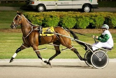 Howard Bromac Winnerof  New Zealand Free For All and Auckland Cup .jpg