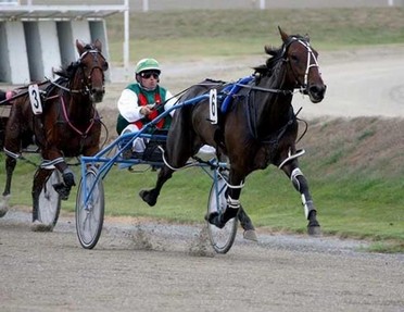 Te Amo Bromac (1.55.8), winner of $147,000, 2nd in GR 1 2YO Jewels and 3rd in Gr 1 NZ Oaks.jpg